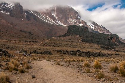 29483568 - group heading up to lava tower on the machame route of kilimanjaro